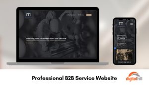 Professional B2B Service Website